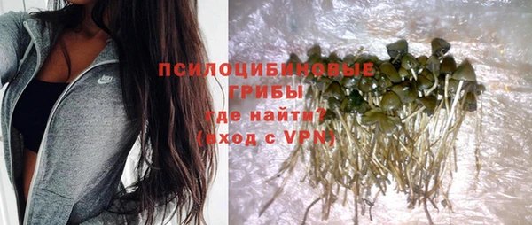 МДПВ Нефтегорск