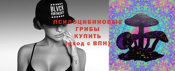 МДПВ Нефтегорск