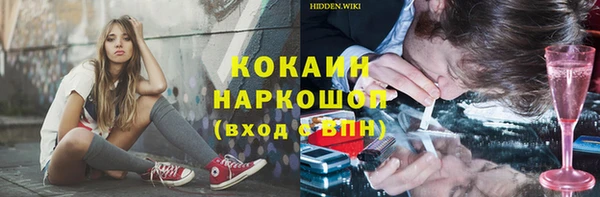 МДПВ Нефтегорск