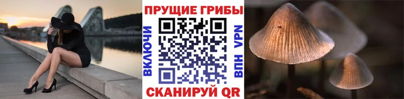 Купить закладки  Ульяновск  Галлюциногенные грибы MAGIC MUSHROOMS 